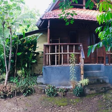 Echo Alam Nusa Lodge Ped Экстерьер фото