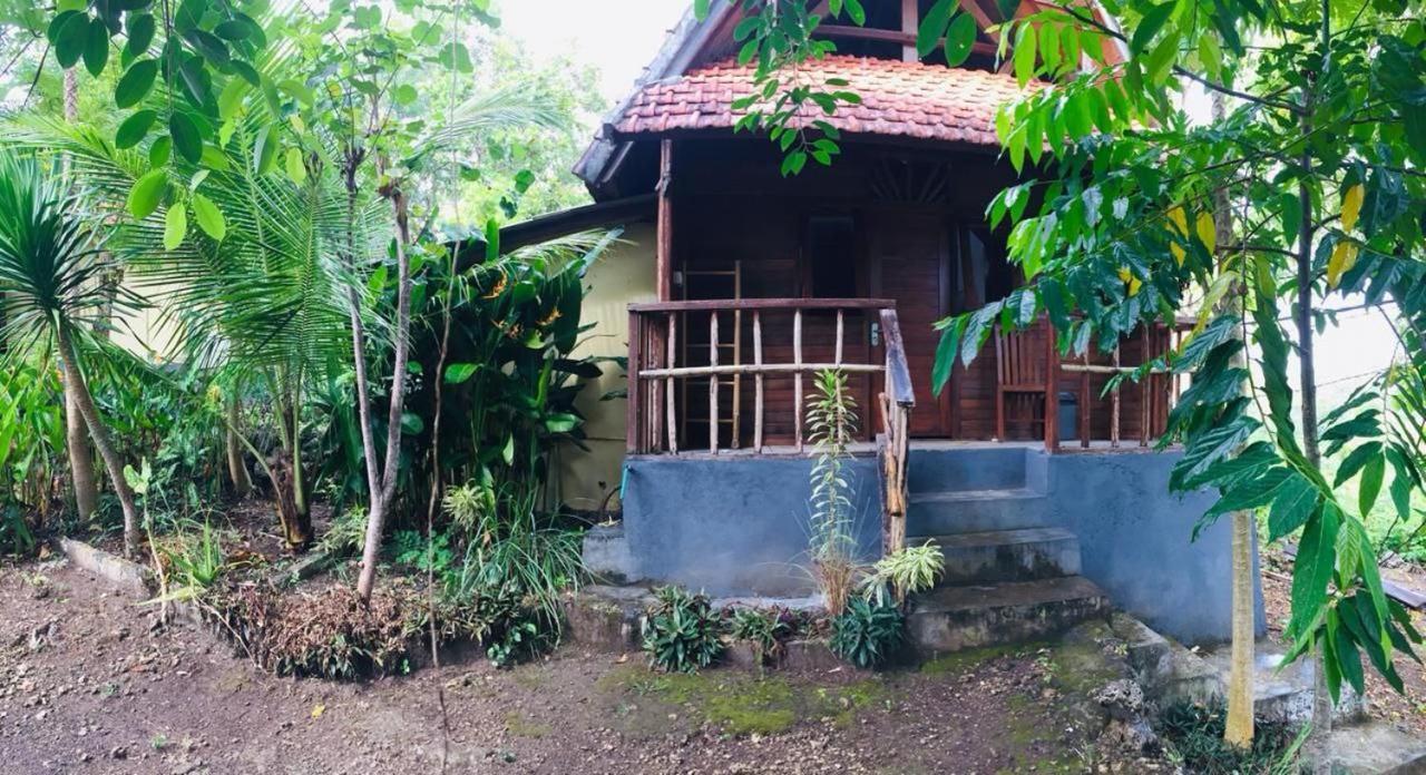 Echo Alam Nusa Lodge Ped Экстерьер фото