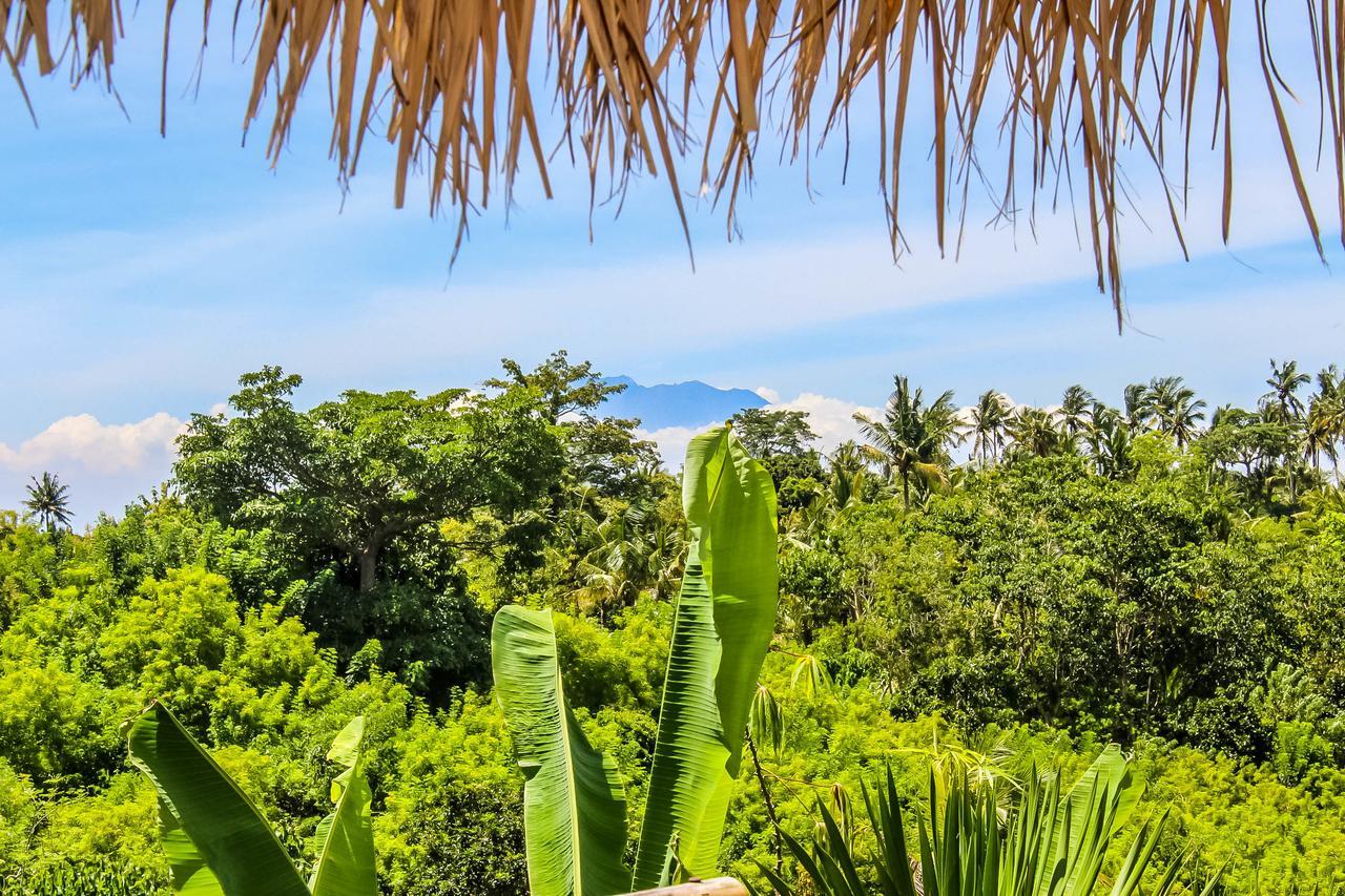 Echo Alam Nusa Lodge Ped Экстерьер фото