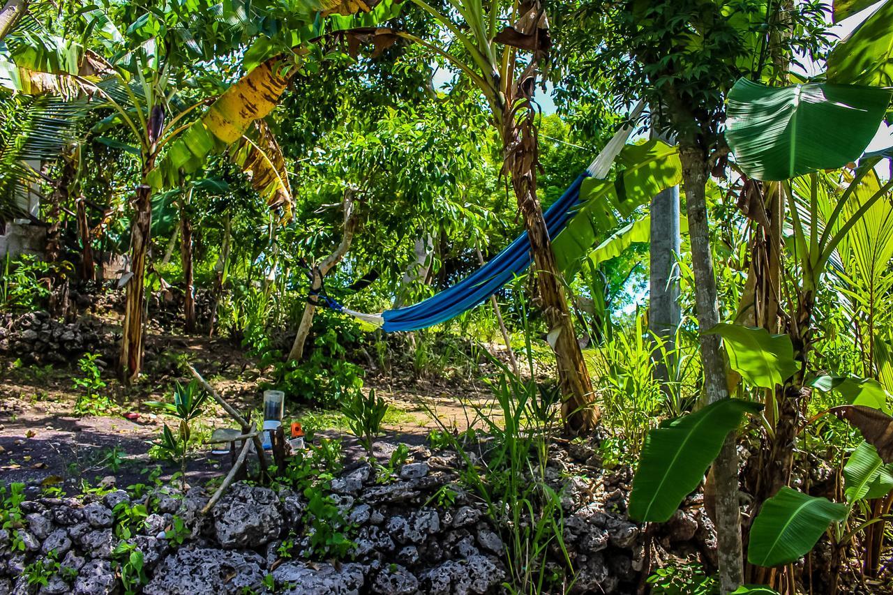 Echo Alam Nusa Lodge Ped Экстерьер фото