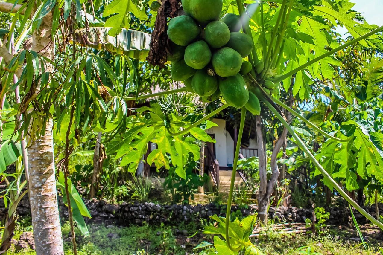 Echo Alam Nusa Lodge Ped Экстерьер фото