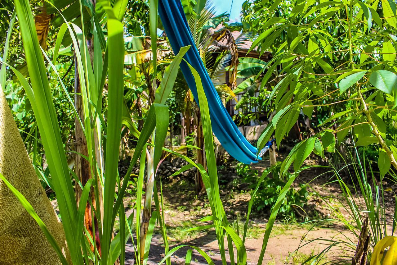 Echo Alam Nusa Lodge Ped Экстерьер фото