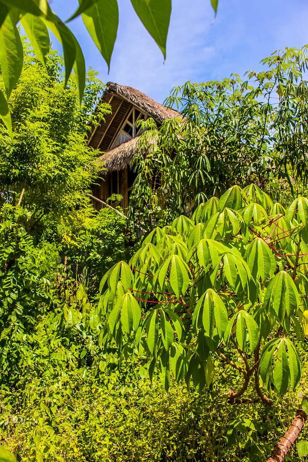 Echo Alam Nusa Lodge Ped Экстерьер фото